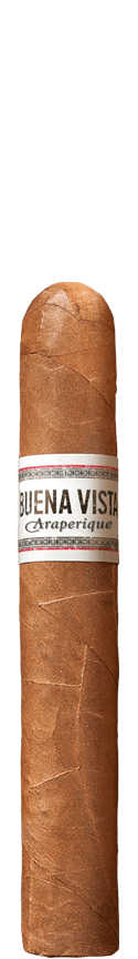 BUENA VISTA Araperique Robusto Zigarre