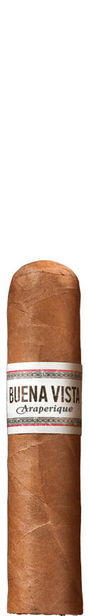 BUENA VISTA Araperique Short Robusto Zigarre