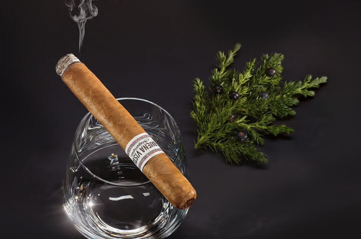 >BUENA VISTA Araperique TORO trifft Siegfried