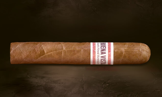 BUENA VISTA Dark Fired Kentucky Robusto