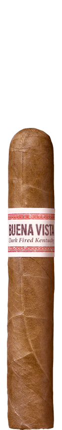 BUENA VISTA Araperique Robusto Zigarre