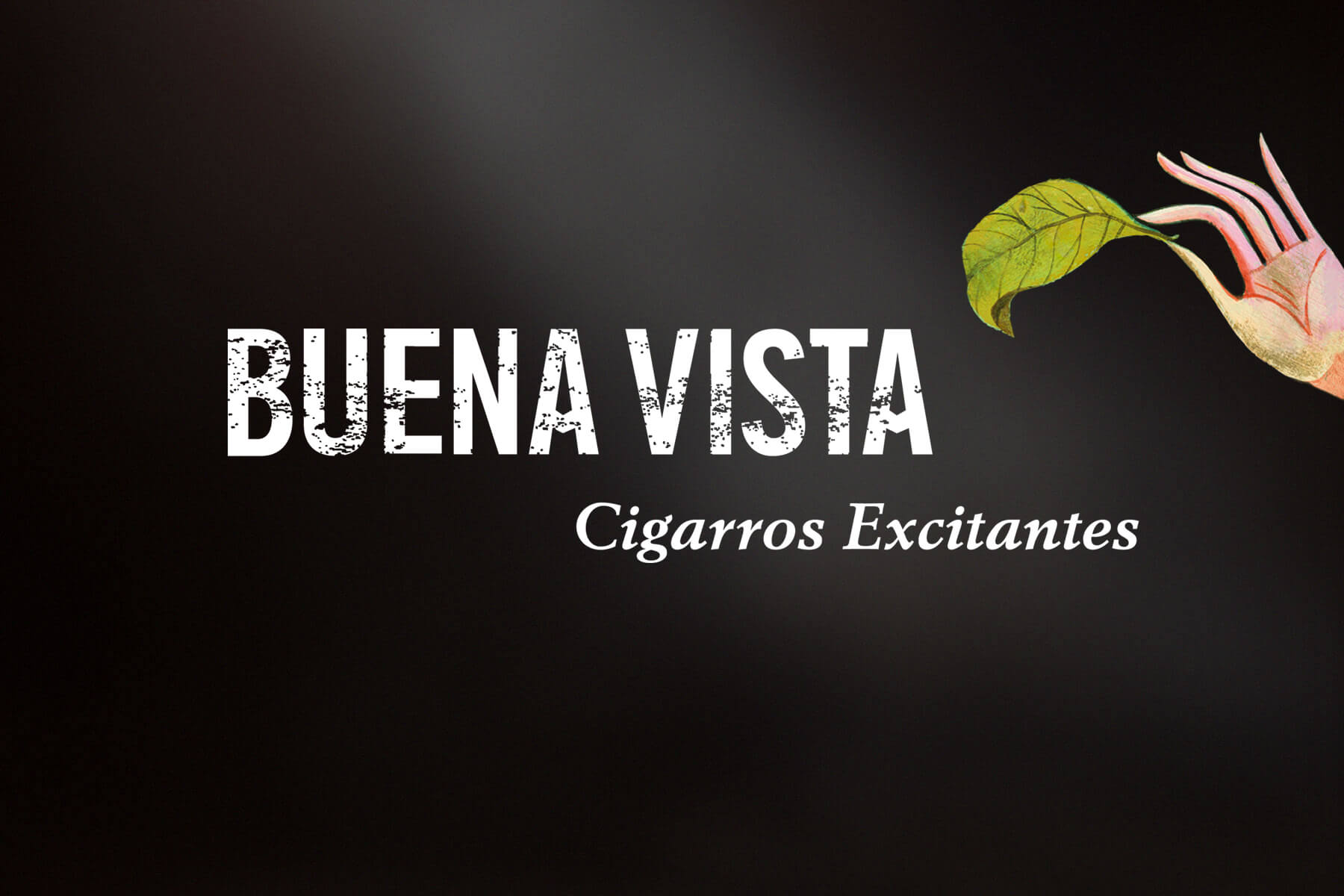 (c) Buenavista-cigar.de